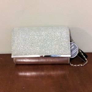 Silver Clutch Purse